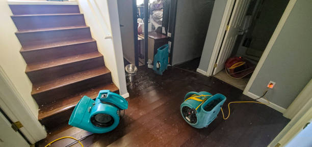 Best Residential water damage restoration  in Mcnair, VA
