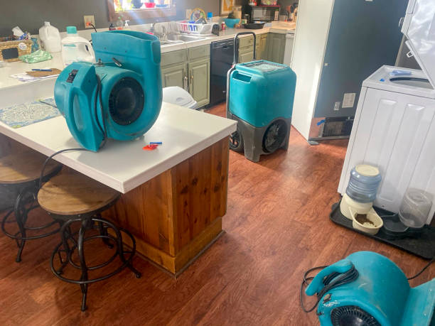Trusted Mcnair, VA Water damage restoration Experts