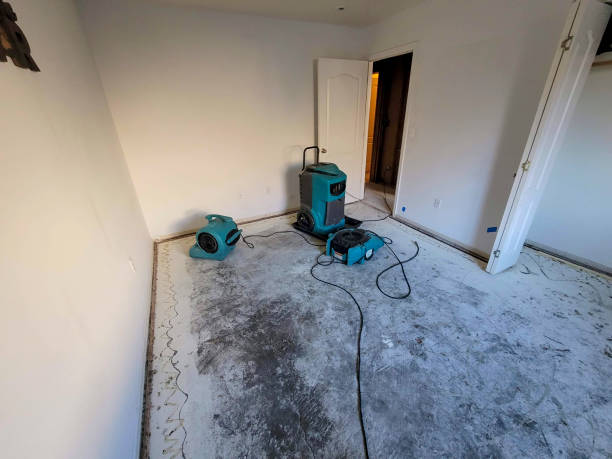 Best Flood damage cleanup  in Mcnair, VA