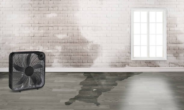 Best Water damage restoration near me  in Mcnair, VA