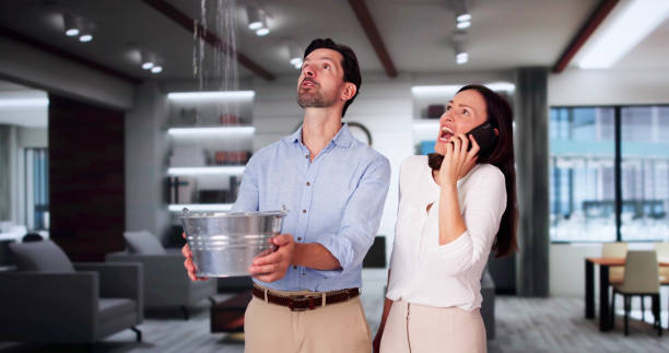 Best Local water damage restoration  in Mcnair, VA