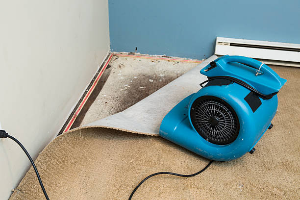 Best Residential water damage restoration  in Mcnair, VA